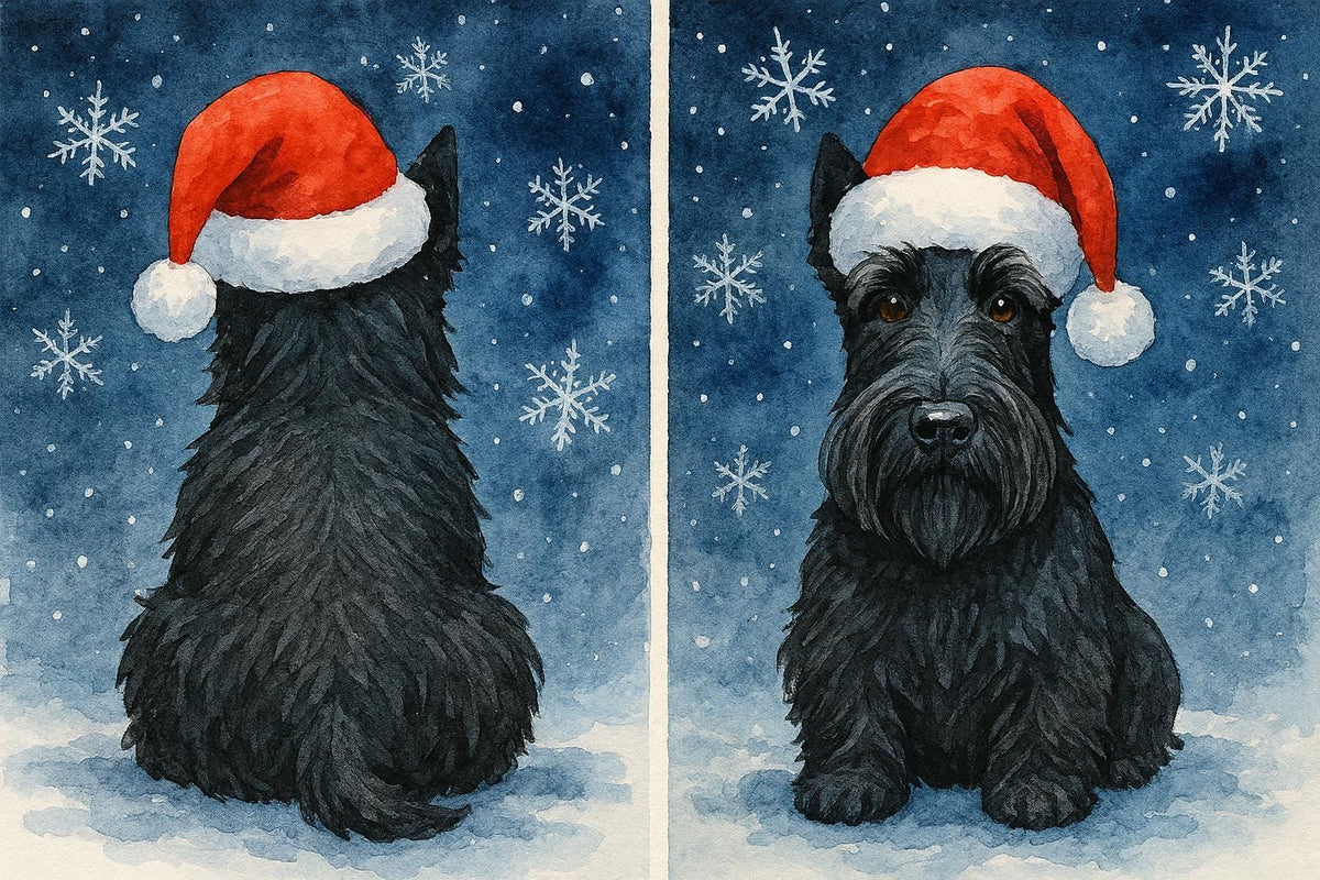 Front and back of a Scottish Terrier Christmas Card