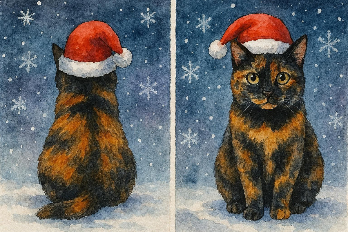 Front and back of a tortoiseshell cat wearing a Santa hat against a snowy background.