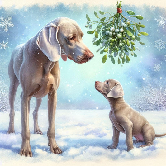 Weimaraner Christmas Card