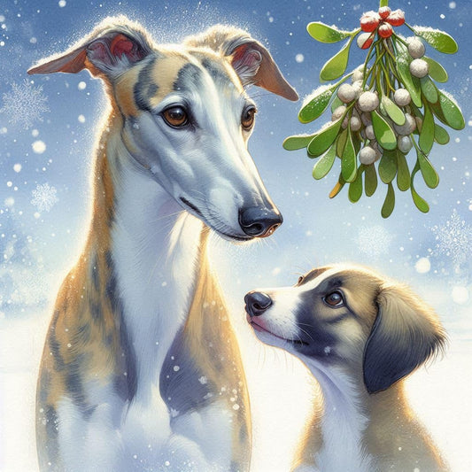 Greyhound Christmas Card