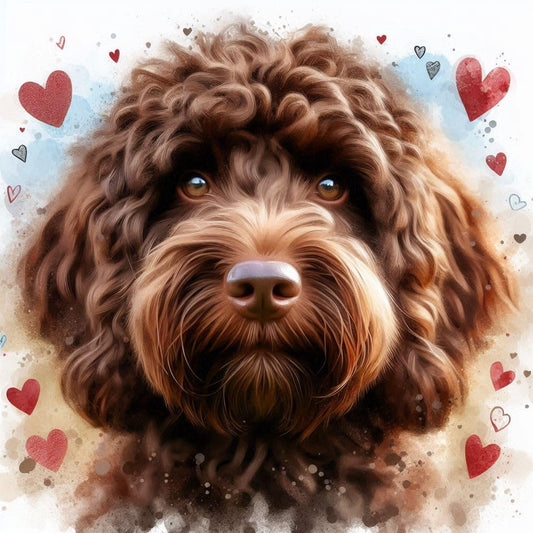Cockapoo Valentine Card