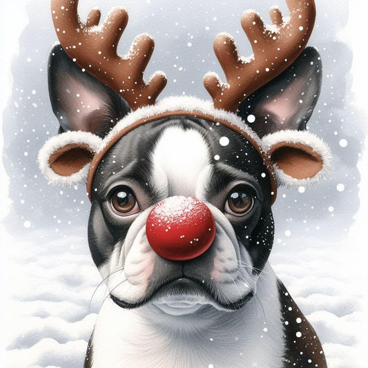 Boston Terrier Christmas Card