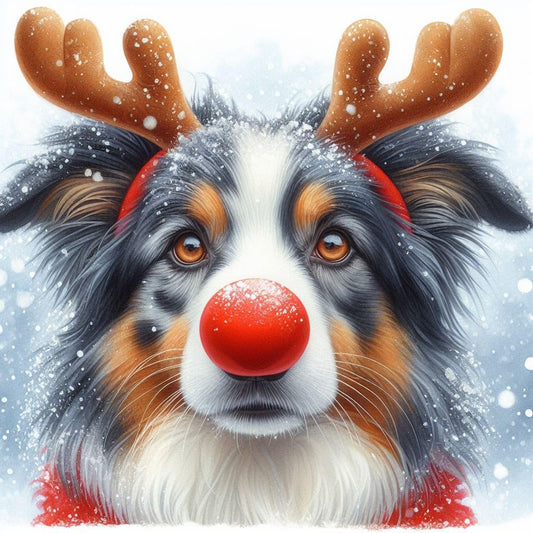 Merle Border Collie Christmas Cards