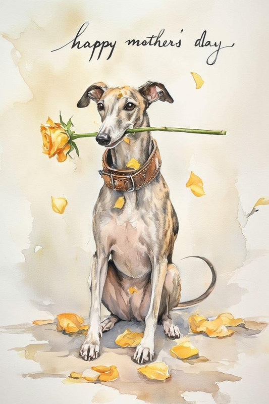 Whippet Mothers Day Card