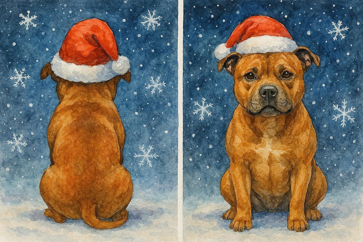 Front and back of Brown Staffy Christmas Card