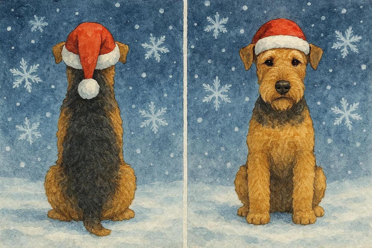 Front and back of Airedale Terrier Christmas Card