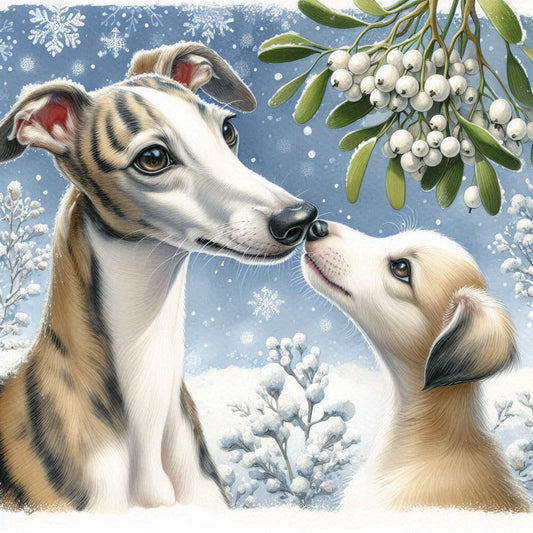 Whippet Christmas Card